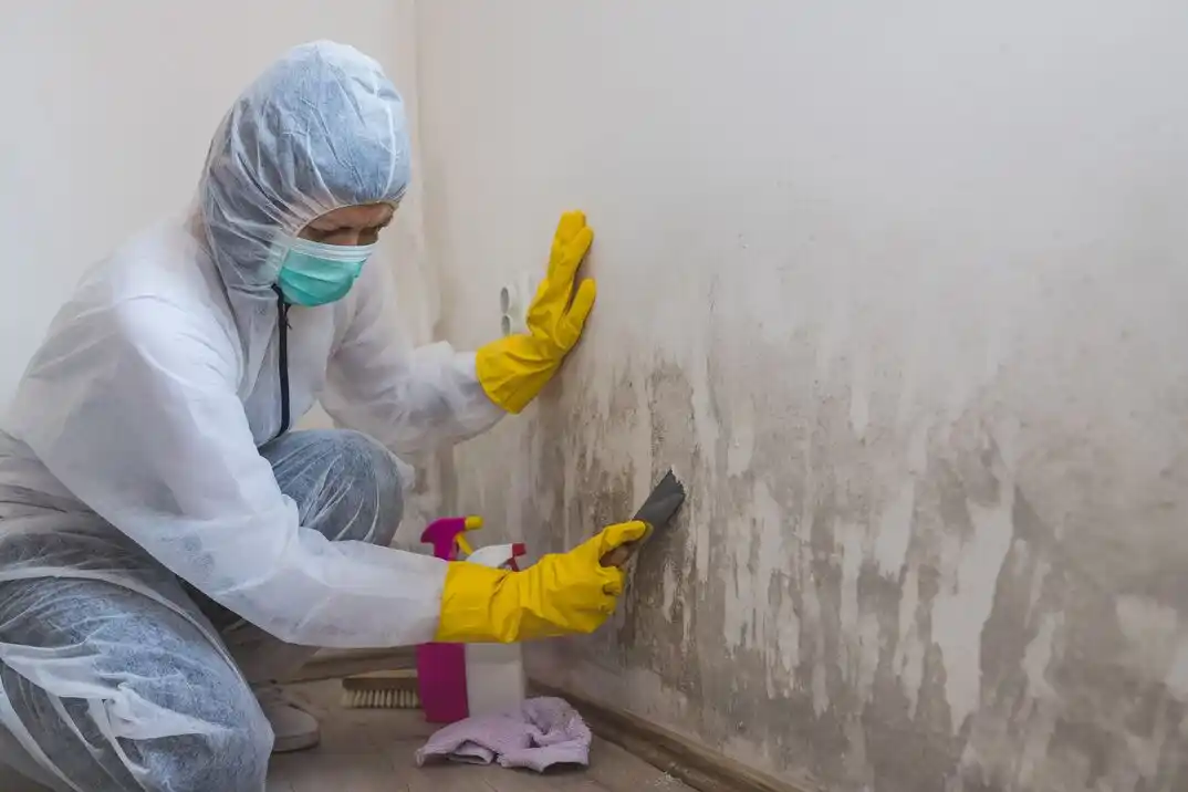water damage restoration service Avignon Windhaven